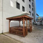 Ahşap Kamelya